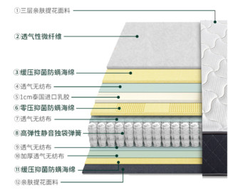 Zinus 际诺思 天然乳胶独立弹簧床垫 180*200*25cm