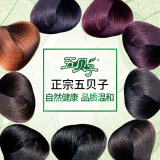 五贝子 植物染发剂天然纯染头发膏盖白发五倍子焗油膏无刺激不伤发正品 【经典款】自然黑  WBZJD