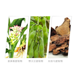  珍草堂 植物炫彩系列 无刺激 植物焗油染发剂  自然黑