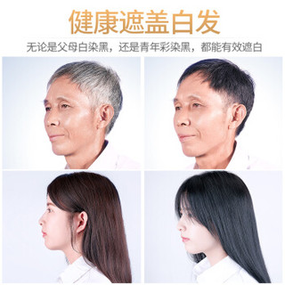  RUIHU/瑞虎 植物自然纯黑色 染发膏  自然黑
