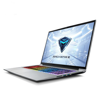 MACHENIKE 机械师 T90 P-TCi5 17.3英寸游戏本（i7-9750H、8GB、512GB、GTX1660Ti 6G、144Hz）