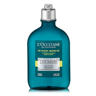 欧舒丹（L'OCCITANE） 男士清泉魅力绅士沐浴洗发露250ml