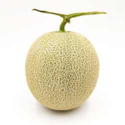 芬果时光 海阳网纹瓜蜜瓜 2个装 约2kg