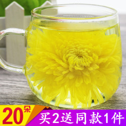 金丝皇菊一杯一朵大菊花茶婺源皇菊江西修水大黄菊贡菊新花草茶