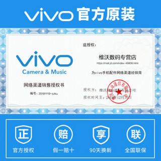 vivo vivo闪充 快充闪充头