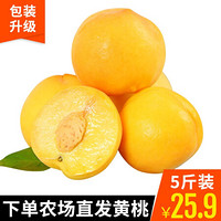 包邮山东潍坊现摘黄毛桃2.5kg 坏果包赔 桃子  5斤中果
