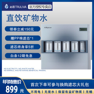 TRULIVA 沁园 QJ-UF-05E 家用净水器不用电无废水无桶可壁挂厨房超滤膜过滤机五级双出水