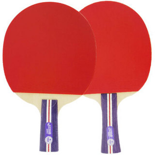 DHS 红双喜 入门训练乒乓球拍横直对拍套装赠乒乓球(1星横直）  1xinghengzhi