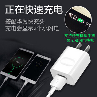 HUAWEI 华为 QuickCharge快充版（Max 18W）