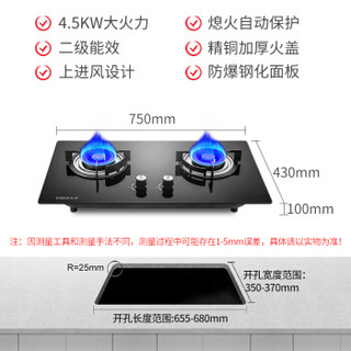 太太 X6 嵌两用炉具 白色 液化气