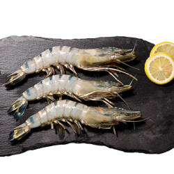 海购时代 鲜冻越南黑虎虾 20头 净重750g