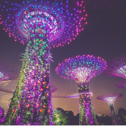 五星新航直飞！全国多地-新加坡机票