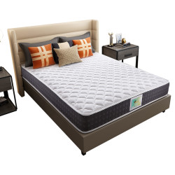 穗宝椰棕垫硬垫乳胶弹簧席梦思床垫加厚成人双人经济型 经典系列