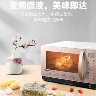 Galanz 格兰仕 D10Q28CSLV-Q3(S0) 光波炉微蒸烤一体机 (23L、1000W)