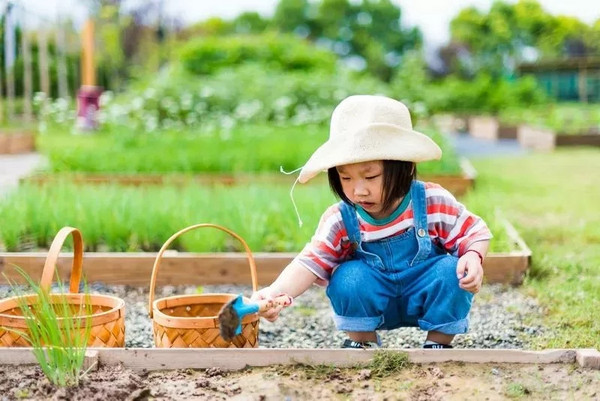 60000㎡儿童乐园嗨玩！江苏启东呆住·番茄俱乐部 亲水别墅房1晚（含早餐+2大2小儿童乐园门票+免费亲子活动）