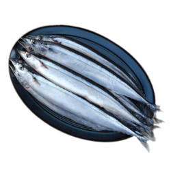 纯色本味 冷冻俄罗斯精品秋刀鱼 烧烤 1kg/袋 （500g*2包） *8件 +凑单品
