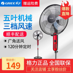 格力(GREE)五叶电风扇/落地扇/电风扇/家用静音风扇 FD-4010-WG 深红色
