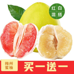 粤供优品 精选梅州蜜柚红心柚 白心蜜柚 共发两个 带箱约4-5斤现摘先发 单果约2.2-2.5斤