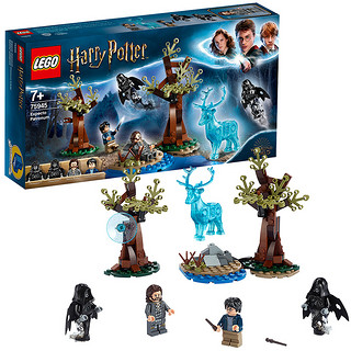 LEGO 乐高 Harry Potter哈利·波特系列 75945 疾疾护法现身