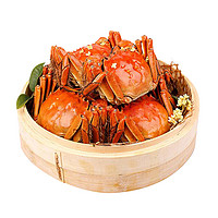 鲜活大闸蟹六月黄螃蟹公母蟹海鲜水产现货特大毛蟹