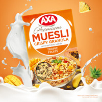AXA 早餐谷物水果混合燕麦片（买一送一共2盒）