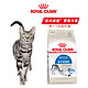 ROYAL CANIN 皇家 I27成猫粮 10kg