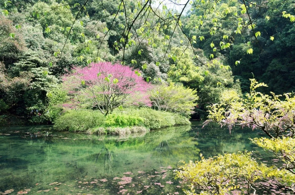 一房一景还有私汤+森林泳池！雅致·梦溪山庄（杭州九溪店）1晚套餐