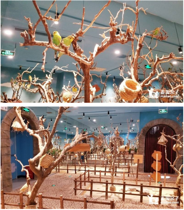 魔都大型室内动物园上海茱莉の动物园单人票