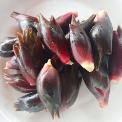 新鲜北川高山野生阳荷果1000g