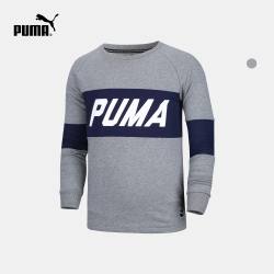 PUMA 彪马 Colorblock 573679 男子圆领卫衣