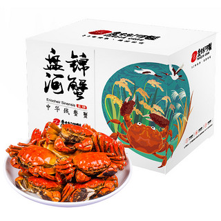 PANJINCRAB 盘锦河蟹 全母稻田蟹 河蟹礼盒大闸蟹 800g