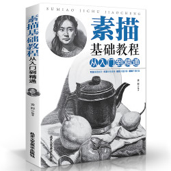 《素描基础教程：从入门到精通》