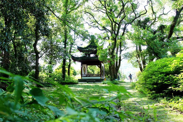 面朝东海、三面环山！宁波春晓世茂希尔顿逸林酒1晚套餐