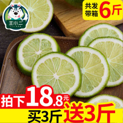 海南青柠檬 新鲜当季水果香水柠檬 宁蒙包邮带箱6斤
