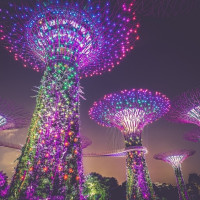 东北难得好价！寒假！沈阳直飞新加坡