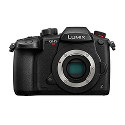 Panasonic 松下 LUMIX G DC-GH5S 微型单电数码相机