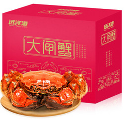 远洋港 大闸蟹礼券礼品卡螃蟹礼盒 海鲜水产 3286型公4.5两 母3.0两 8只装