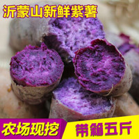 现挖现发新鲜紫薯 * 5斤装