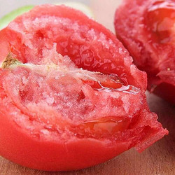 高尔夫果园  沙瓤西红柿 净重5斤