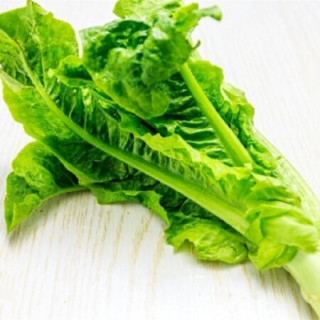 商品鲜特莱 企业餐饮装 青笋尖1kg