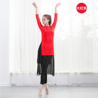 AUDDE 2019夏季新款女装新品T恤女现代舞练功服上衣舞蹈服服装宽松形体训练服开叉 AAAYYFS08 大红色 M