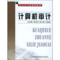 会计学专业系列教材：计算机审计（附光盘1张）