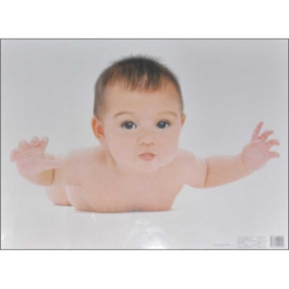 乖娃娃挂图·男孩⑤