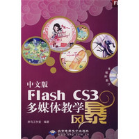 中文版Flash CS3多媒体教学风暴（附光盘）