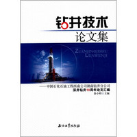 钻井技术论文集：中国石化石油工程西南公司湖南钻井分公司深井钻井10周年论文汇编