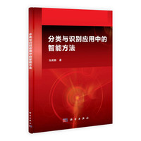 分类与识别应用中的智能方法