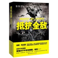 抵抗全敌