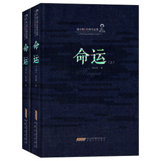 陆天明经典作品集：命运（套装上下册）