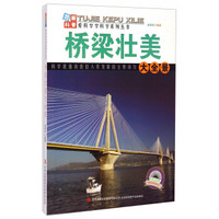 爱科学学科学系列丛书：桥梁壮美大全景