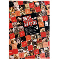 遇见·猫的国(附赠精美卡片)